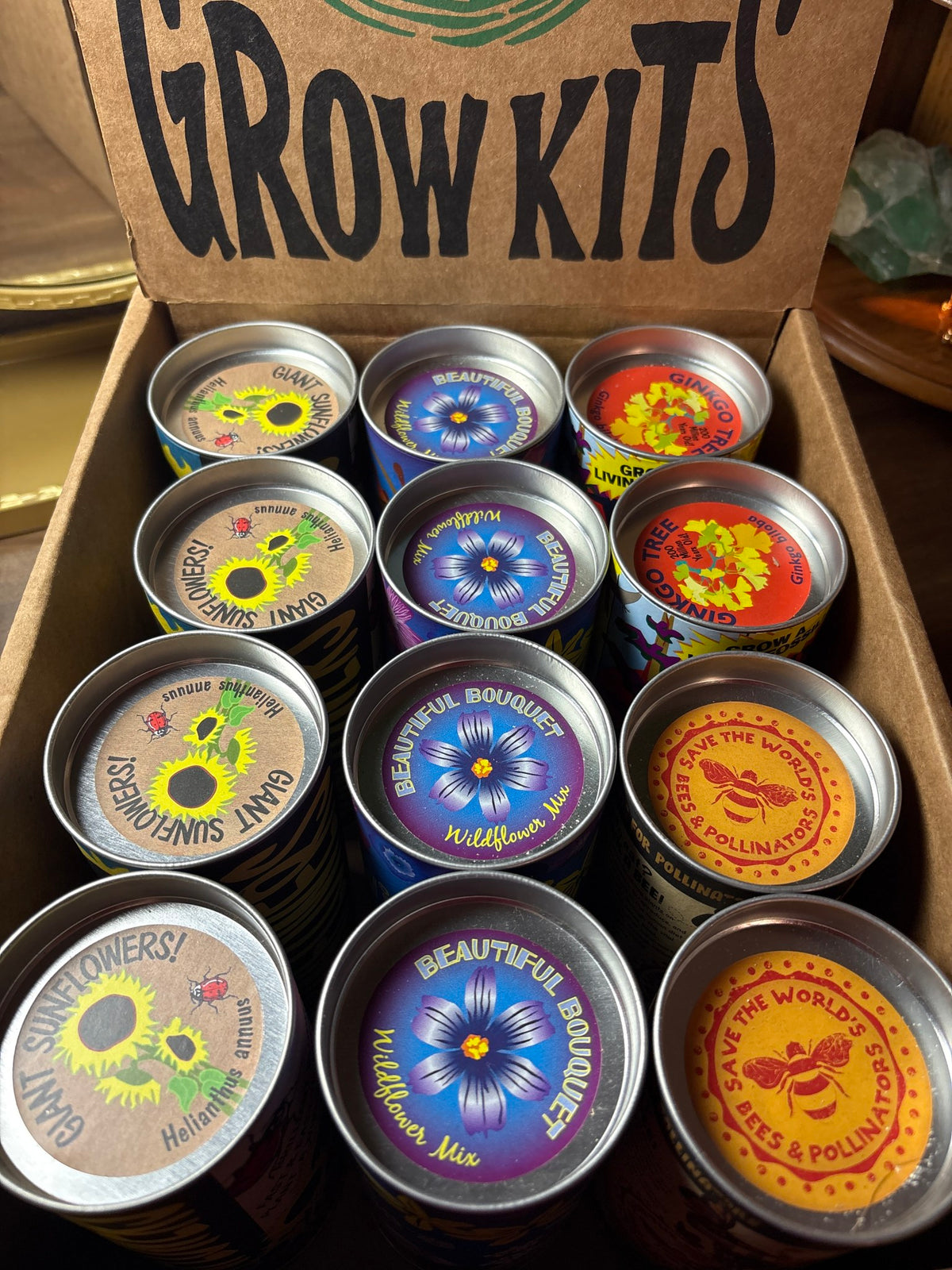 Grow Kits- Sunflowers