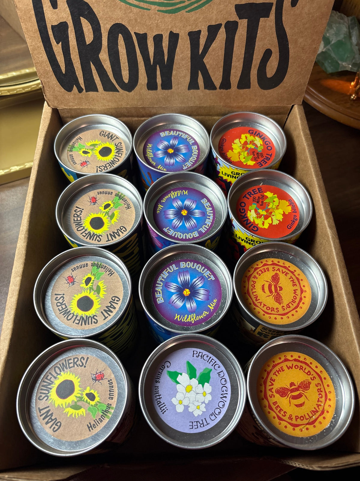 Grow Kits- Dogwood