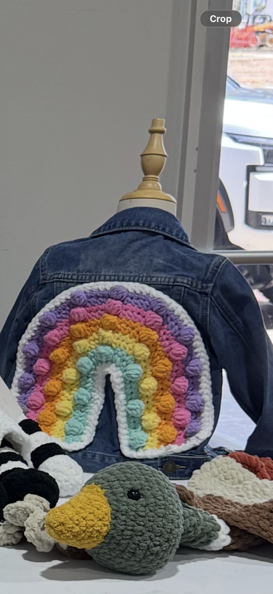 Rainbow jacket