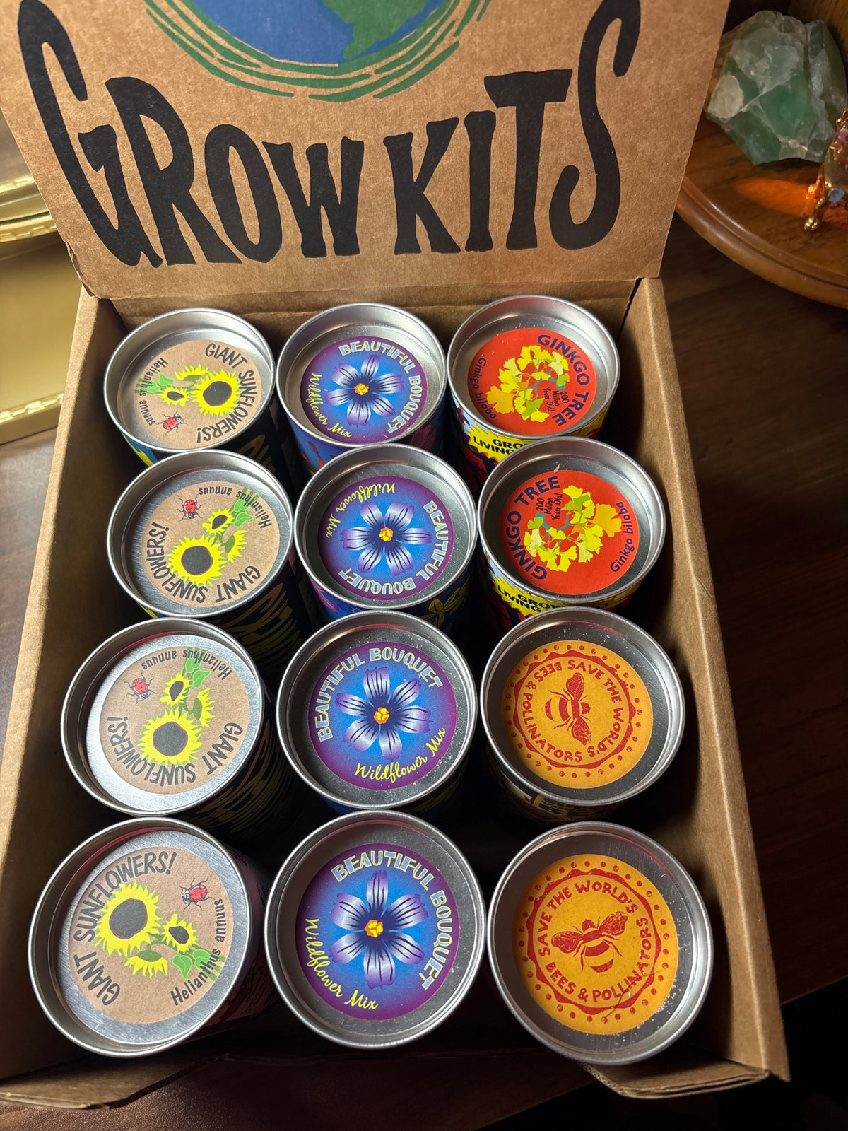 Grow Kits- Bees