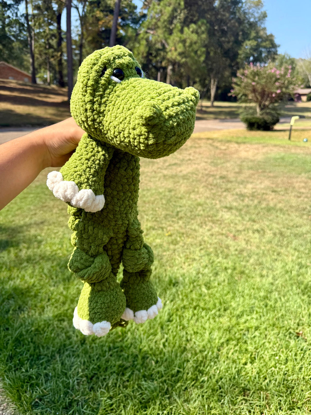 Beaux Alligator