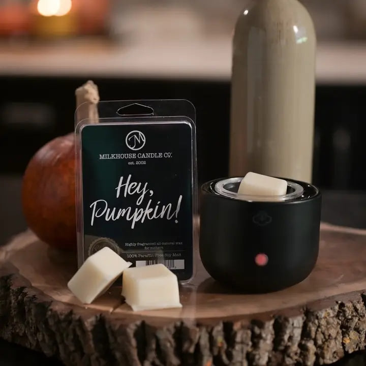 Hey, Pumpkin! Wax Melts