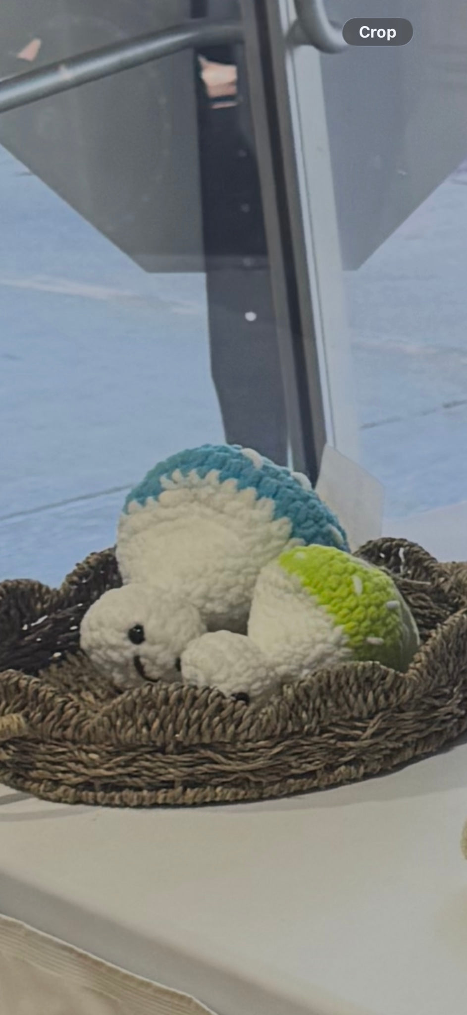 Mushi pop- blue