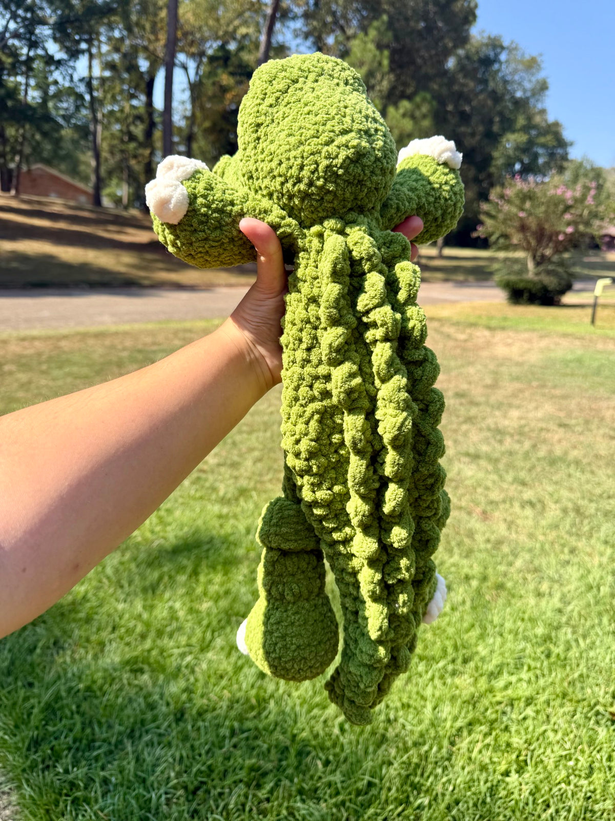 Beaux Alligator
