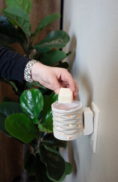 Laundry Day Wax Melts